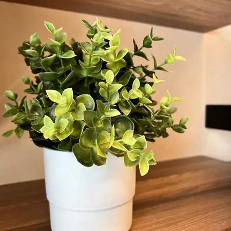 Del Bufo - Al Apartment *